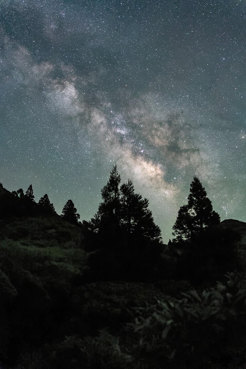 Constellation Veil